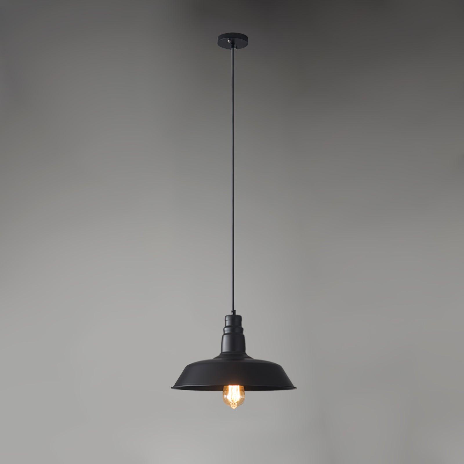 vintage-industrial-collections-pendant-light-anzaz--26