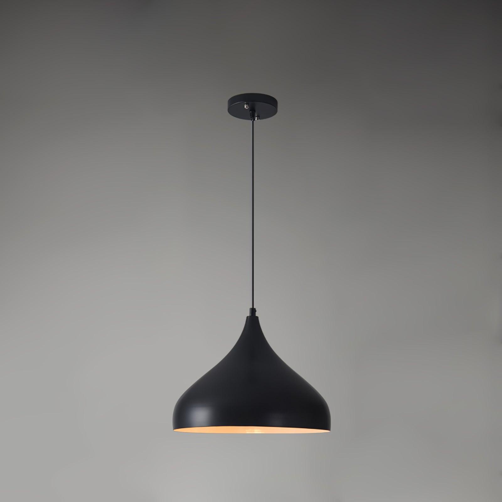 vintage-industrial-collections-pendant-light-anzaz--8