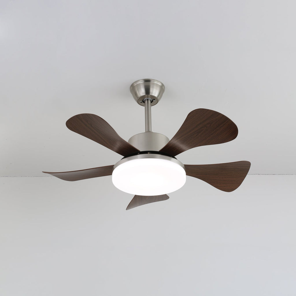 vivian-ceiling-fan-light-anzaz--5