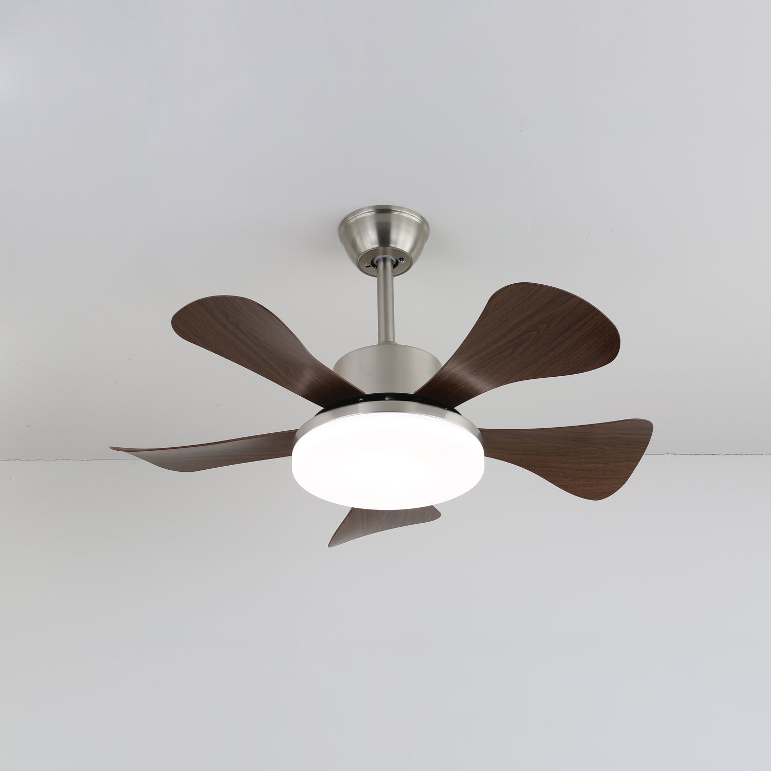 vivian-ceiling-fan-light-anzaz--5