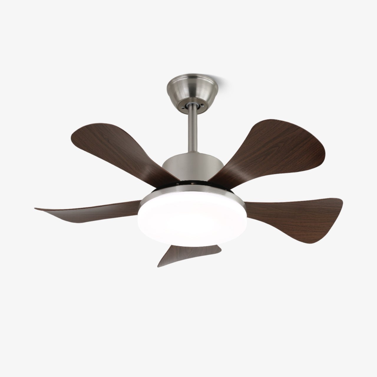 vivian-ceiling-fan-light-anzaz-Walnut Wood Grain & Black-1