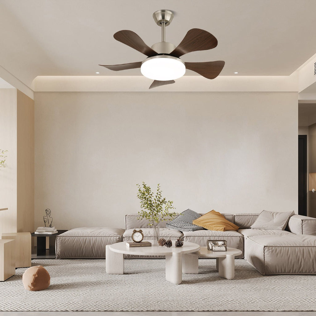 vivian-ceiling-fan-light-anzaz--4