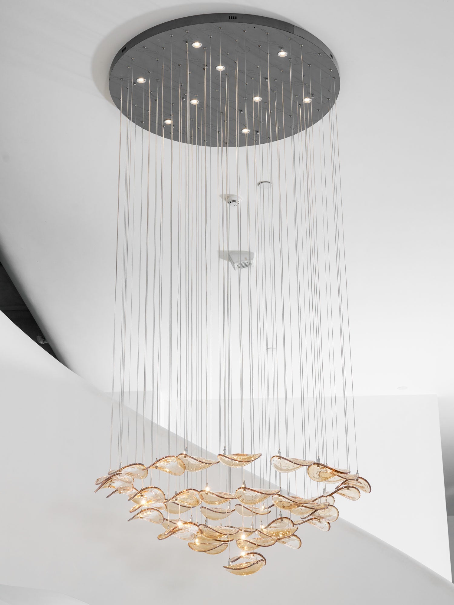wave-floating-leaf-chandelier-anzaz--43