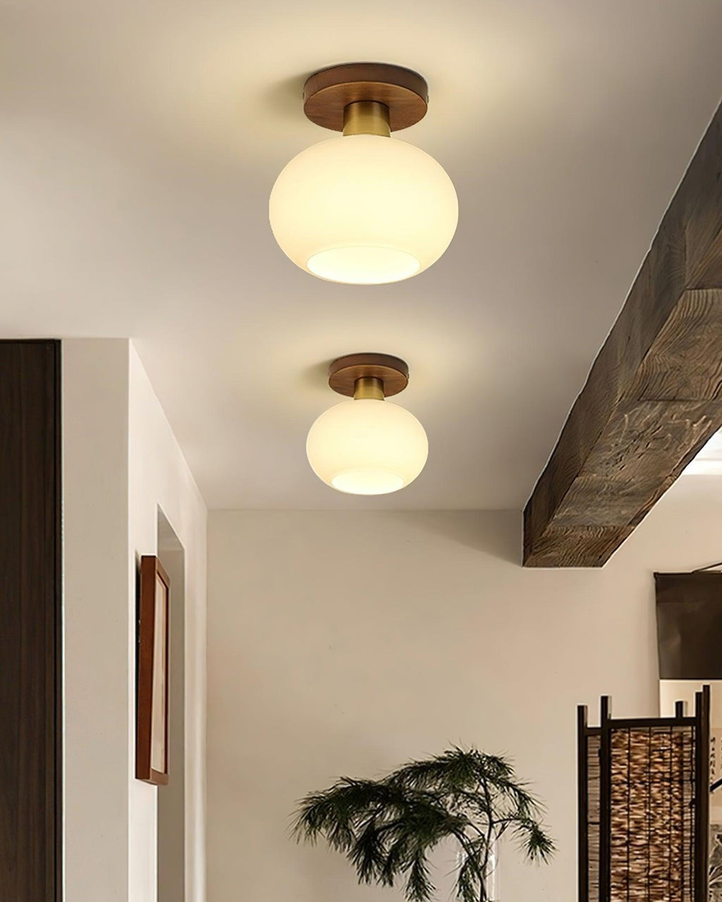 white-shell-ceiling-lamp-anzaz--12