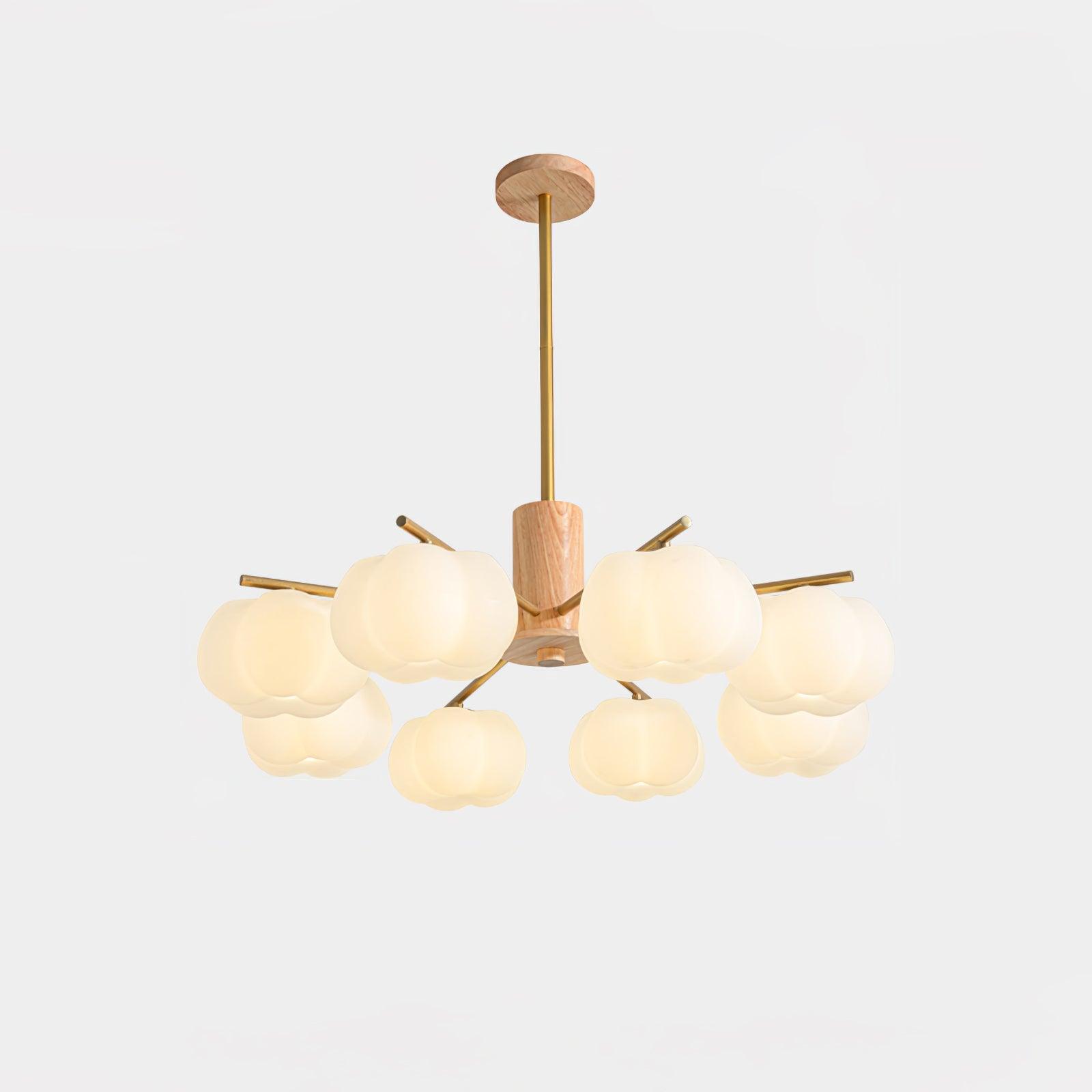wooden-cotton-balls-chandelier-anzaz--31