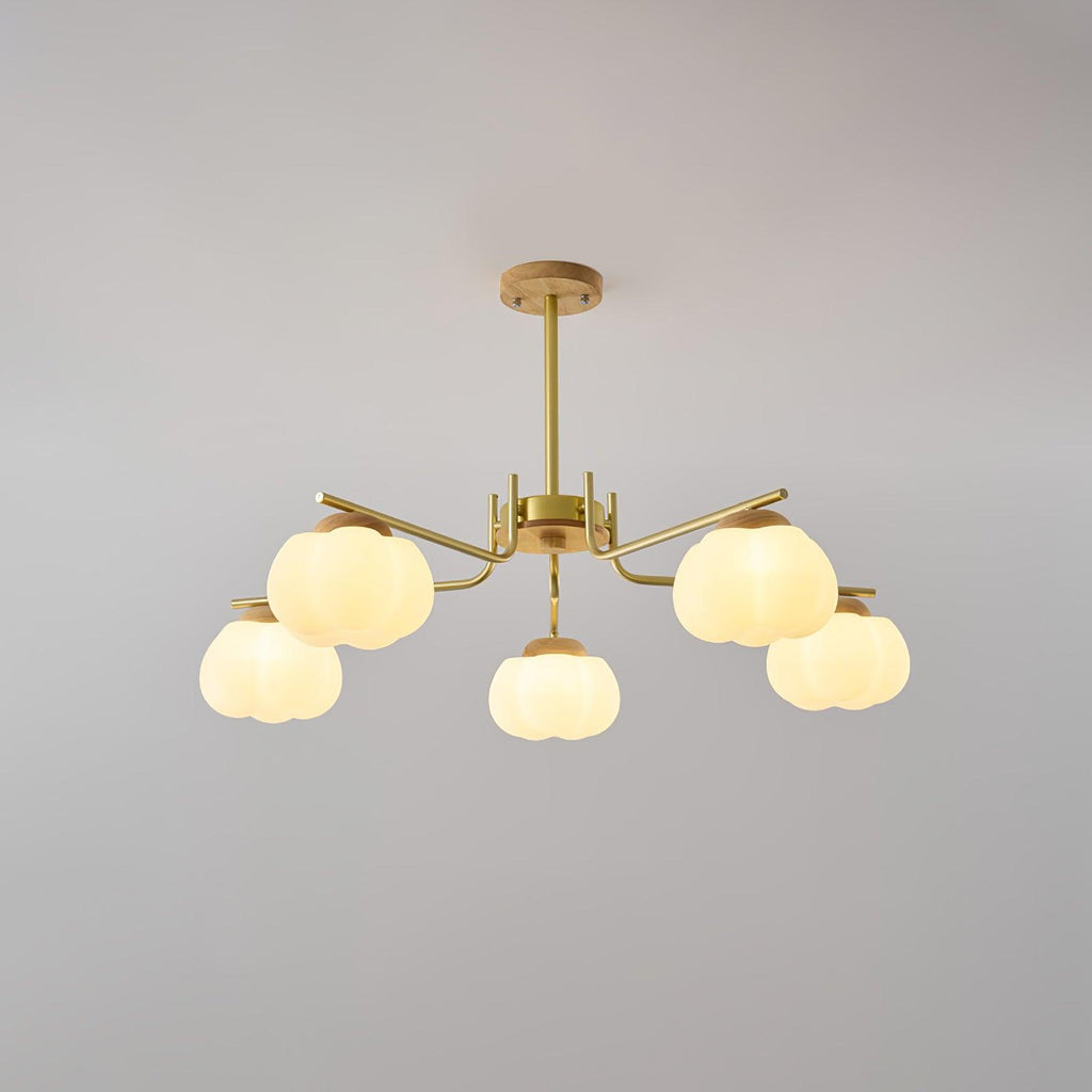 wooden-cotton-balls-chandelier-lamp-anzaz--7