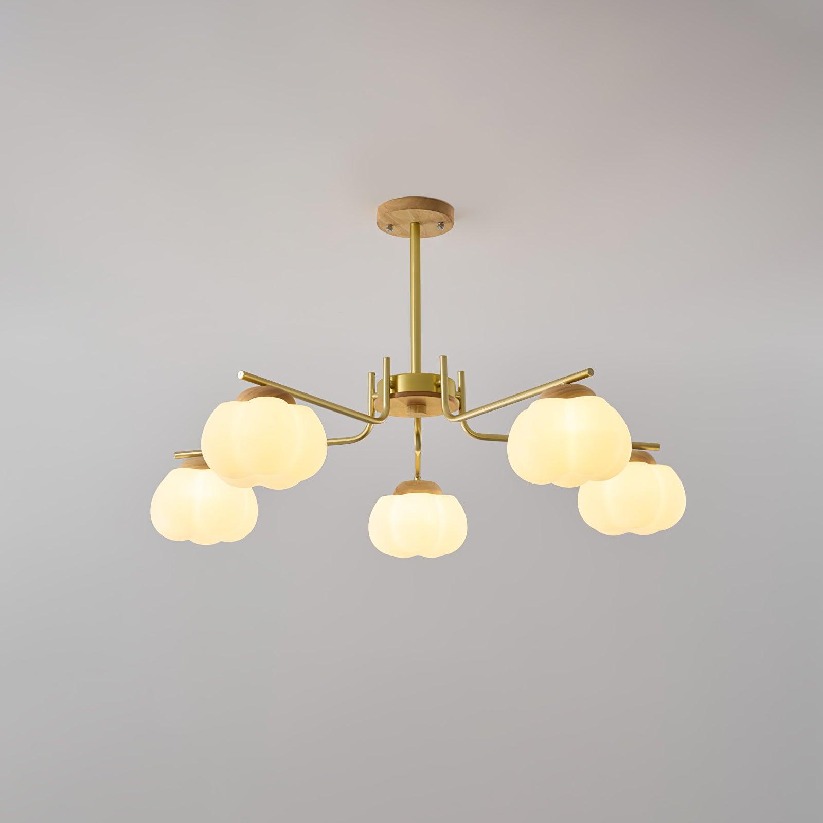 wooden-cotton-balls-chandelier-lamp-anzaz--7