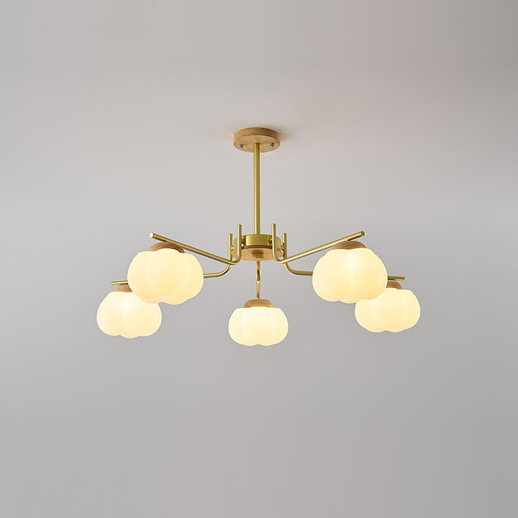 wooden-cotton-balls-chandelier-lamp-anzaz--27