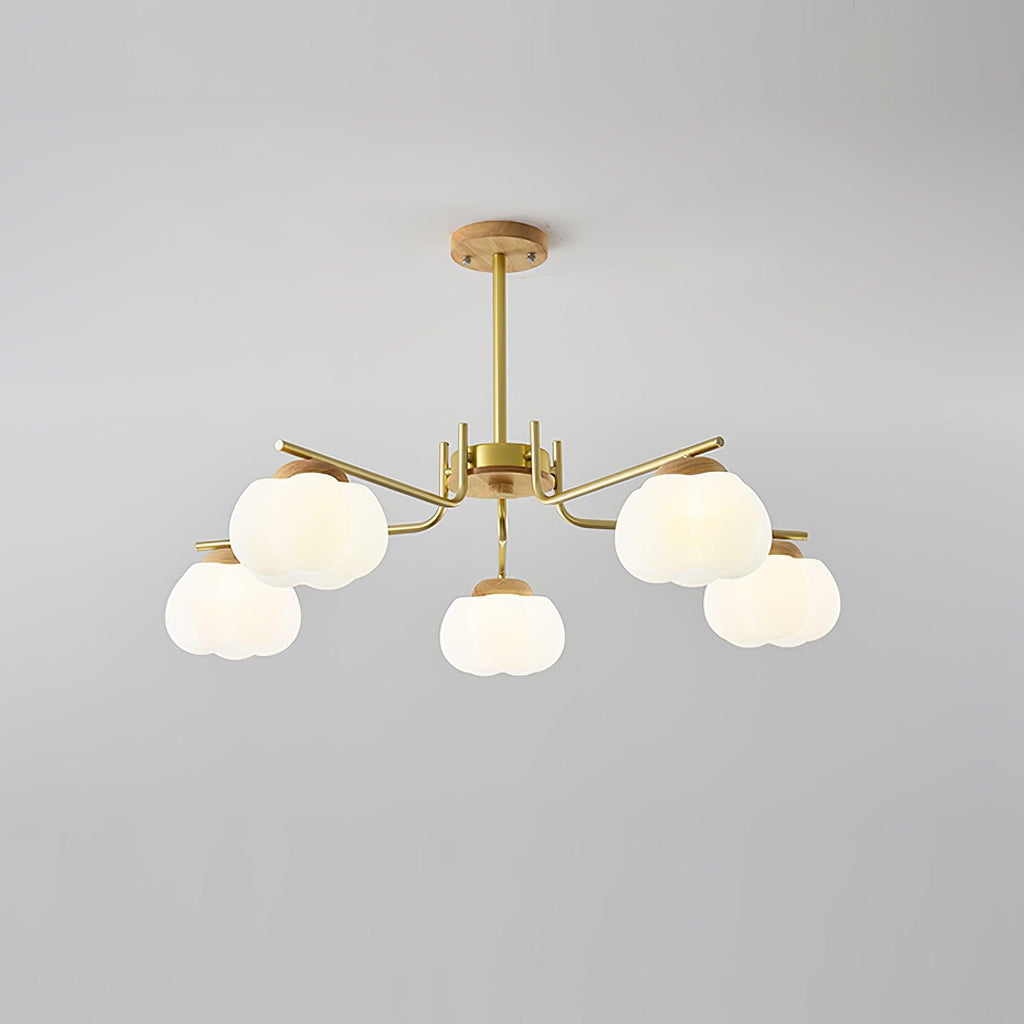 wooden-cotton-balls-chandelier-lamp-anzaz--29