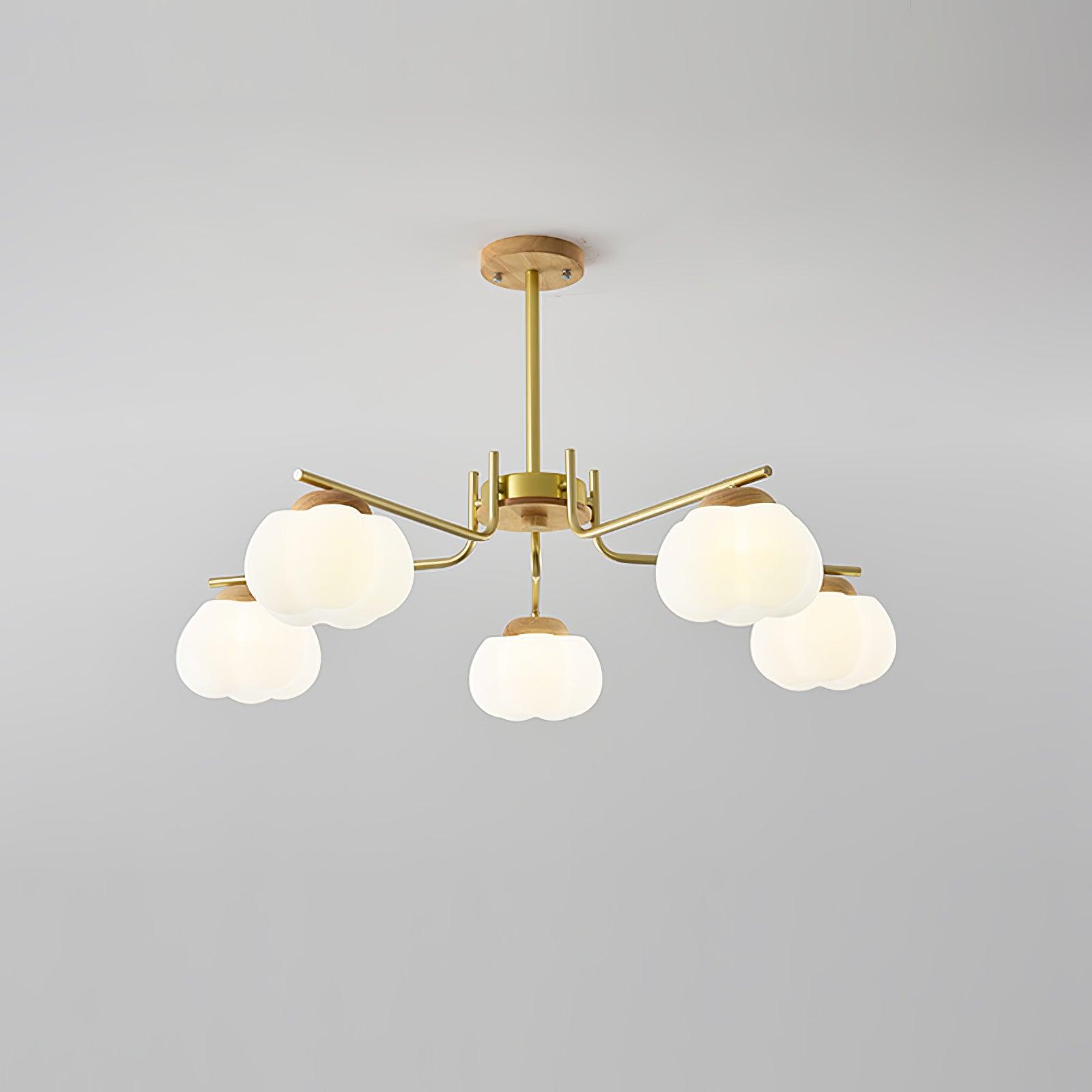 wooden-cotton-balls-chandelier-lamp-anzaz--29