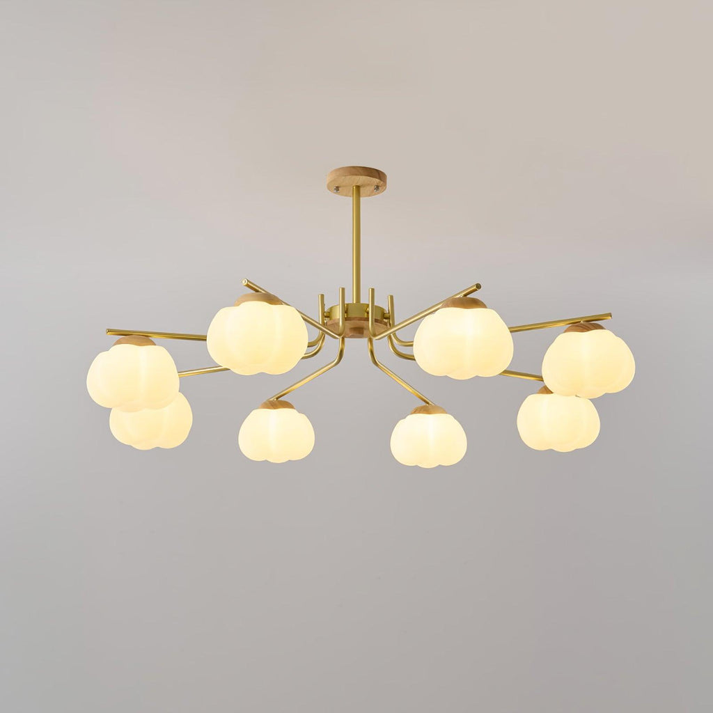 wooden-cotton-balls-chandelier-lamp-anzaz--8