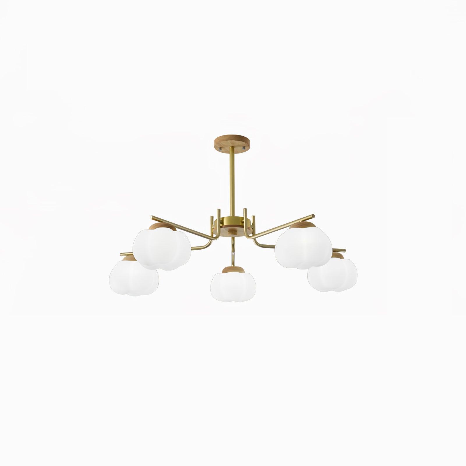 wooden-cotton-balls-chandelier-lamp-anzaz--30