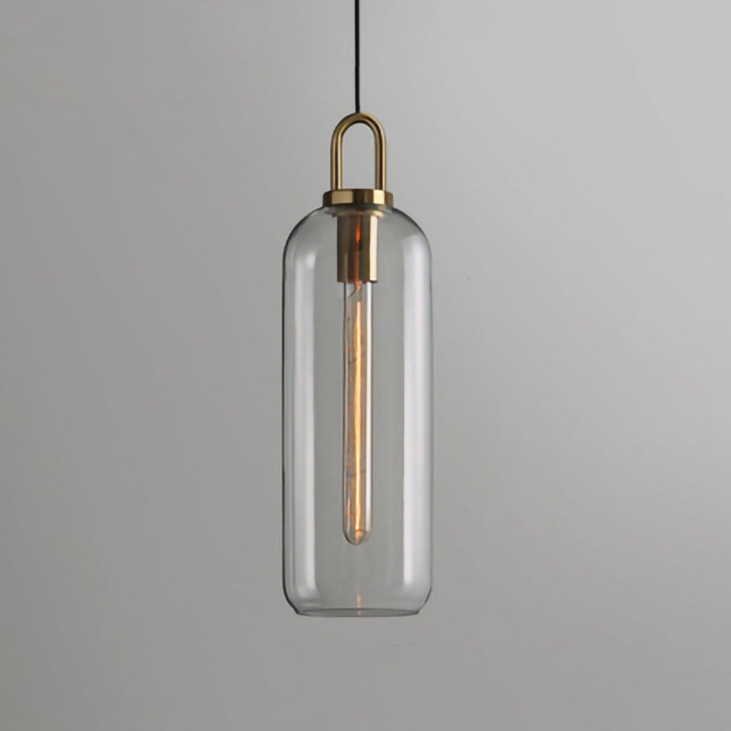 glass-pendant-swag-light-anzaz-Transparent glass-37