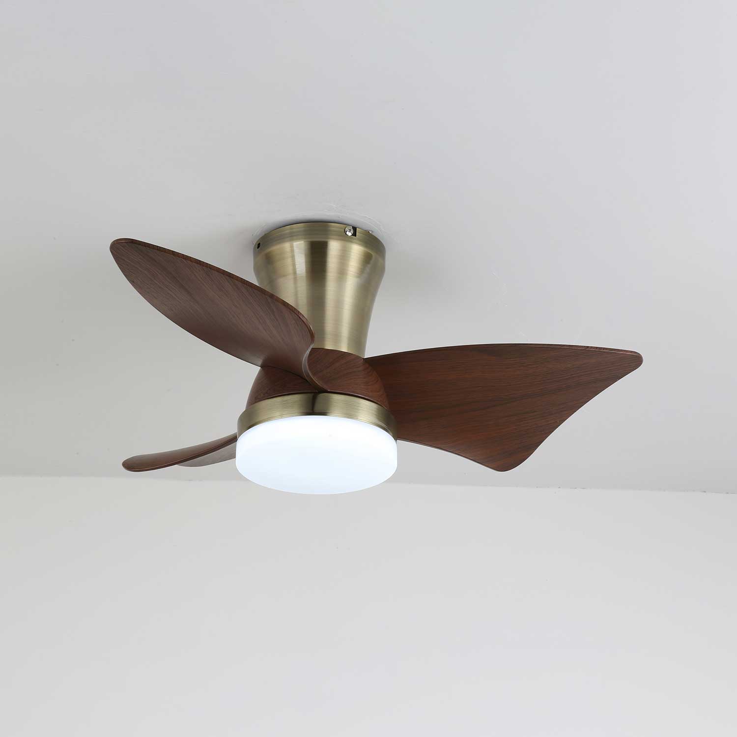 zephyr-crest-ceiling-fan-light-anzaz--5