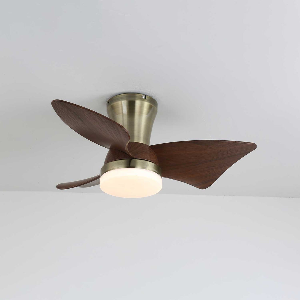 zephyr-crest-ceiling-fan-light-anzaz--6
