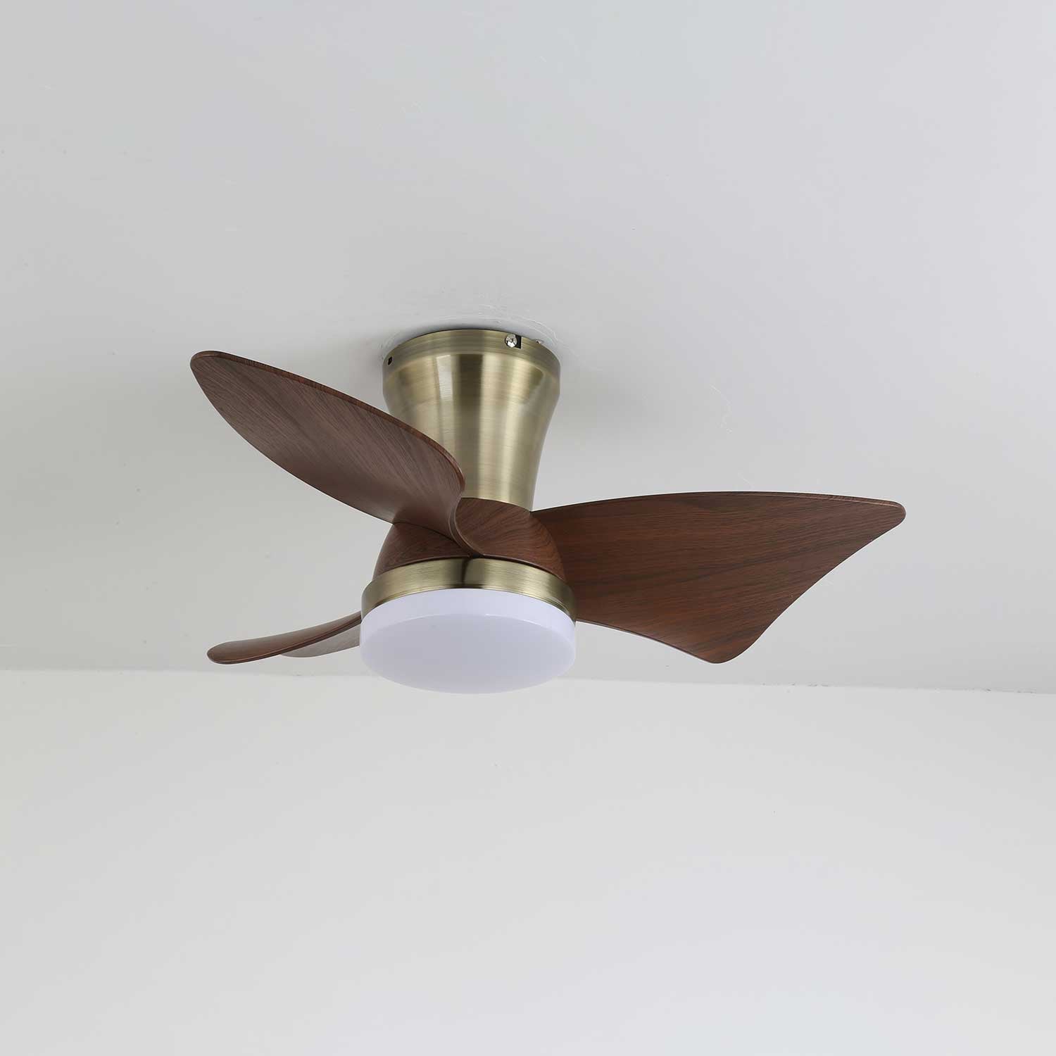 zephyr-crest-ceiling-fan-light-anzaz--7