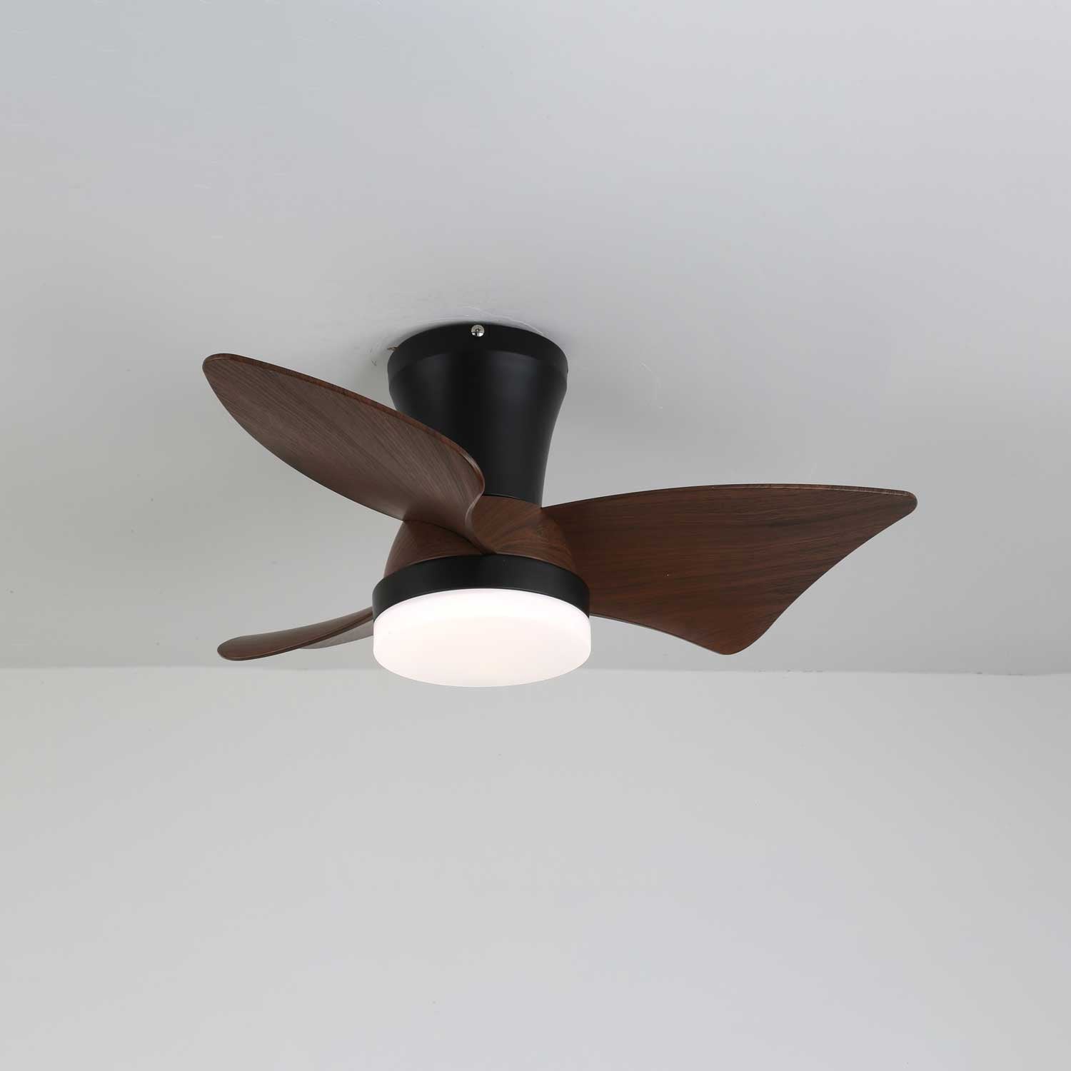 zephyr-crest-ceiling-fan-light-anzaz--8