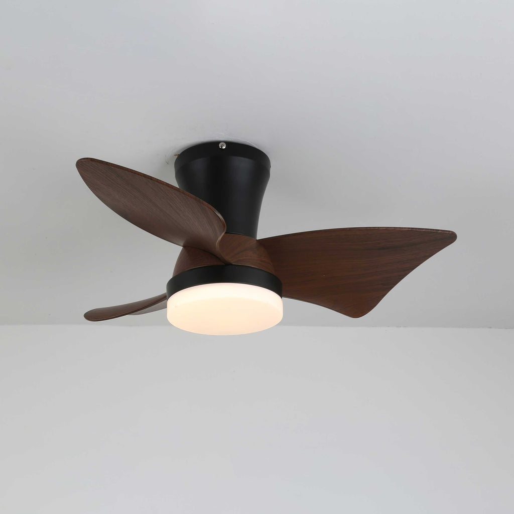 zephyr-crest-ceiling-fan-light-anzaz--9