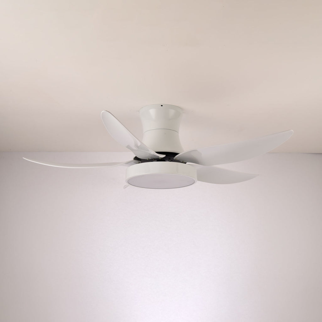zephyr-noir-ceiling-fan-anzaz--12