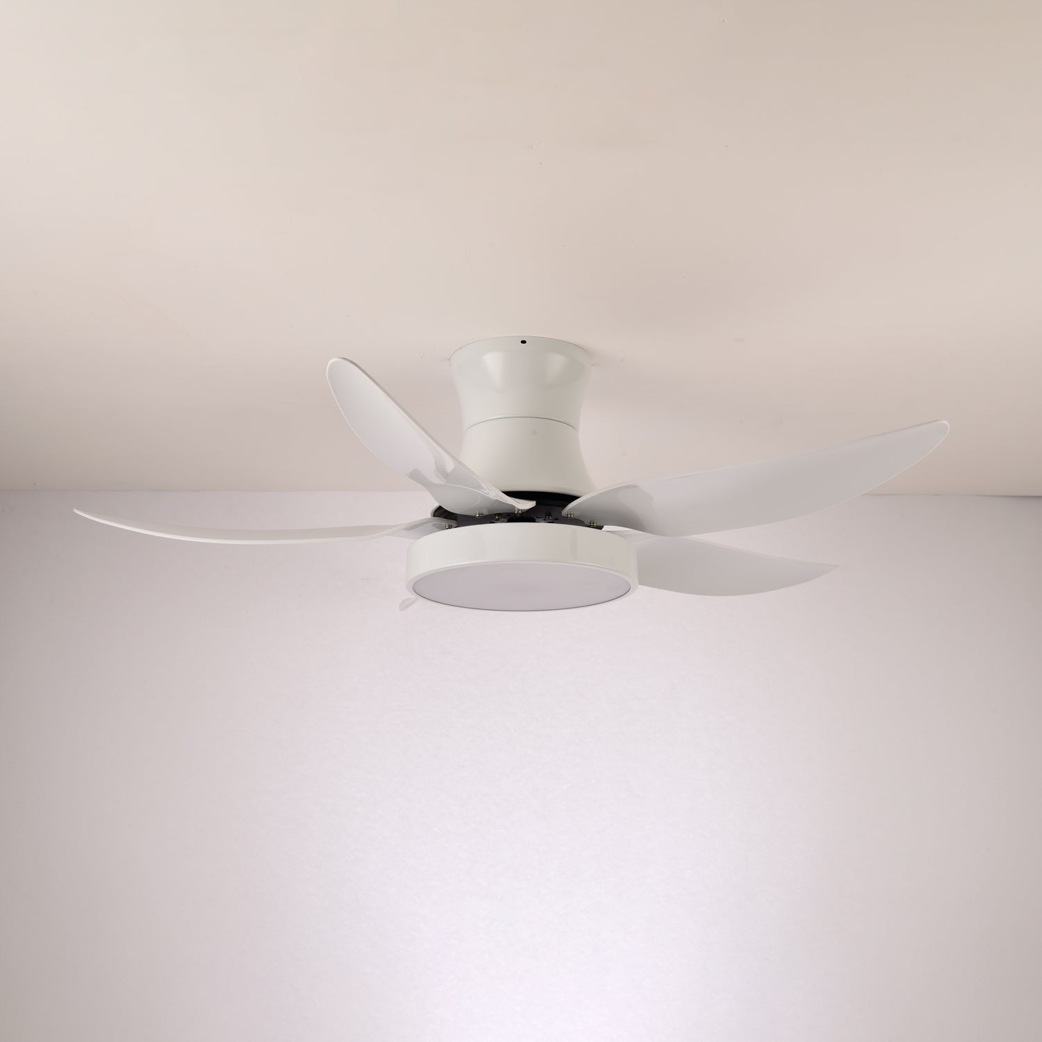 zephyr-noir-ceiling-fan-anzaz--12