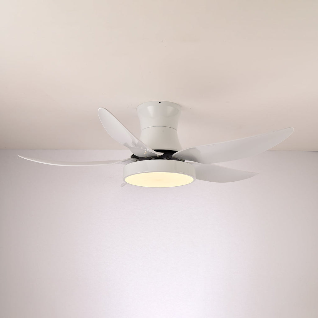 zephyr-noir-ceiling-fan-anzaz--13