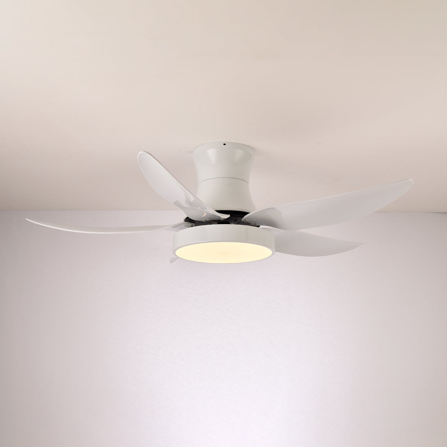 zephyr-noir-ceiling-fan-anzaz--13