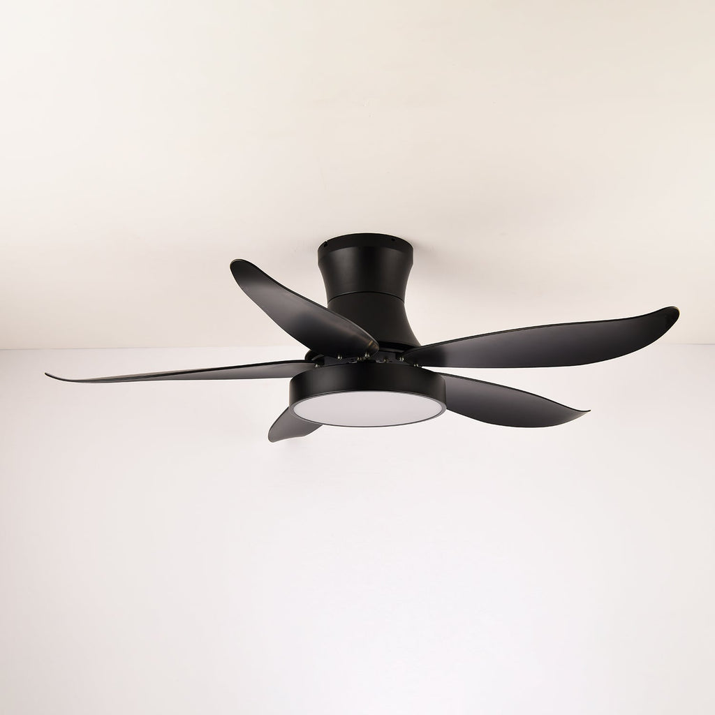zephyr-noir-ceiling-fan-anzaz-Green-3