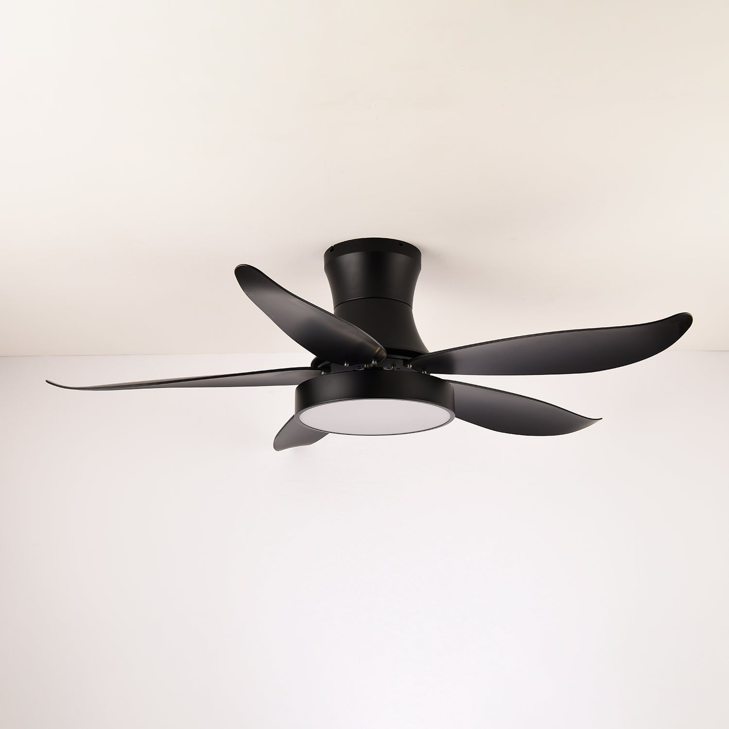 zephyr-noir-ceiling-fan-anzaz-Green-3