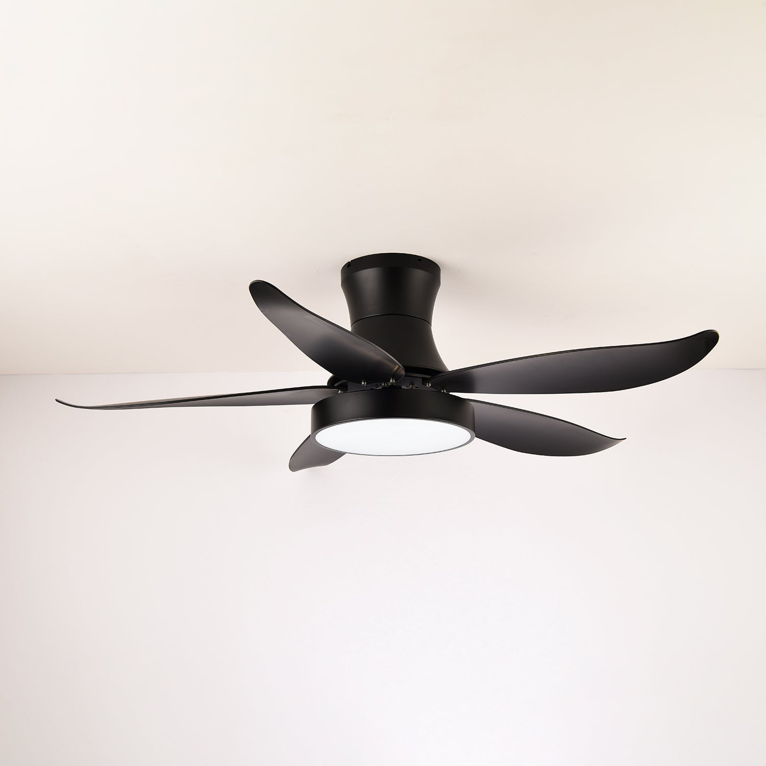 zephyr-noir-ceiling-fan-anzaz-Grey-4