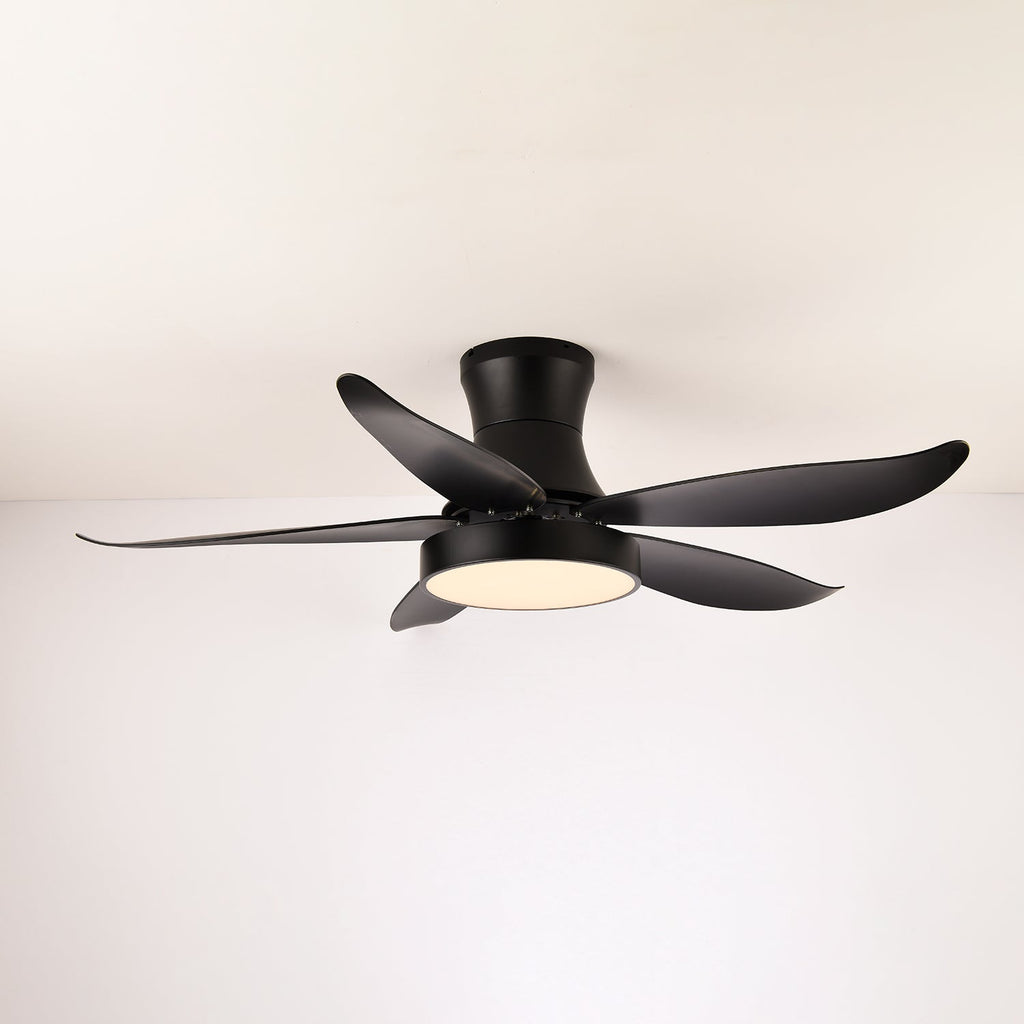 zephyr-noir-ceiling-fan-anzaz-White-2