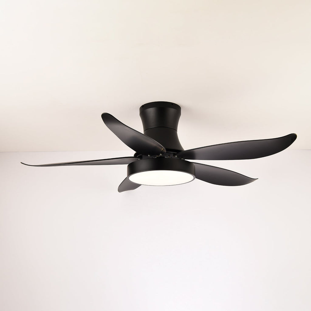 zephyr-noir-ceiling-fan-anzaz--14