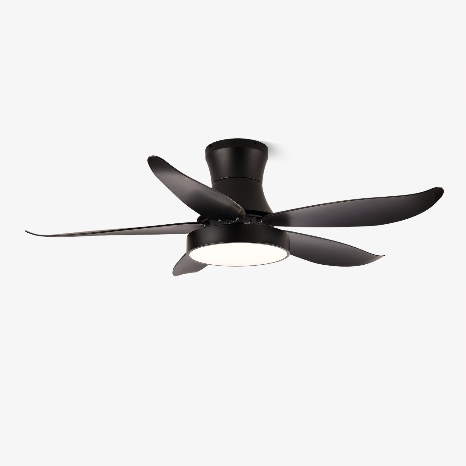 zephyr-noir-ceiling-fan-anzaz--15