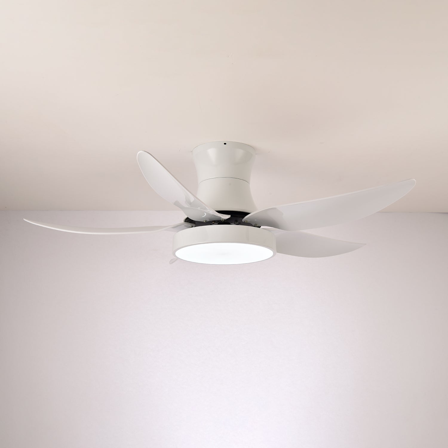 zephyr-noir-ceiling-fan-anzaz--5