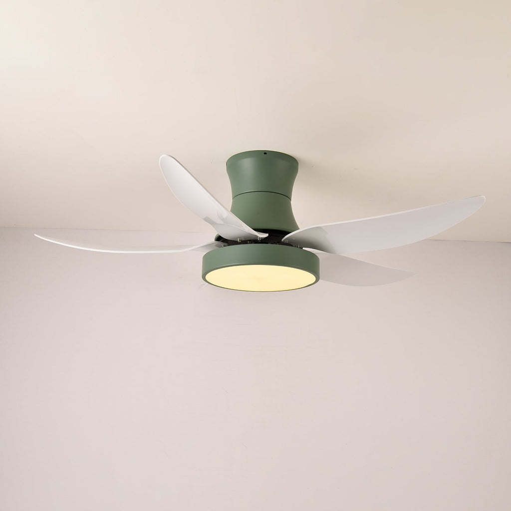 zephyr-noir-ceiling-fan-anzaz--6