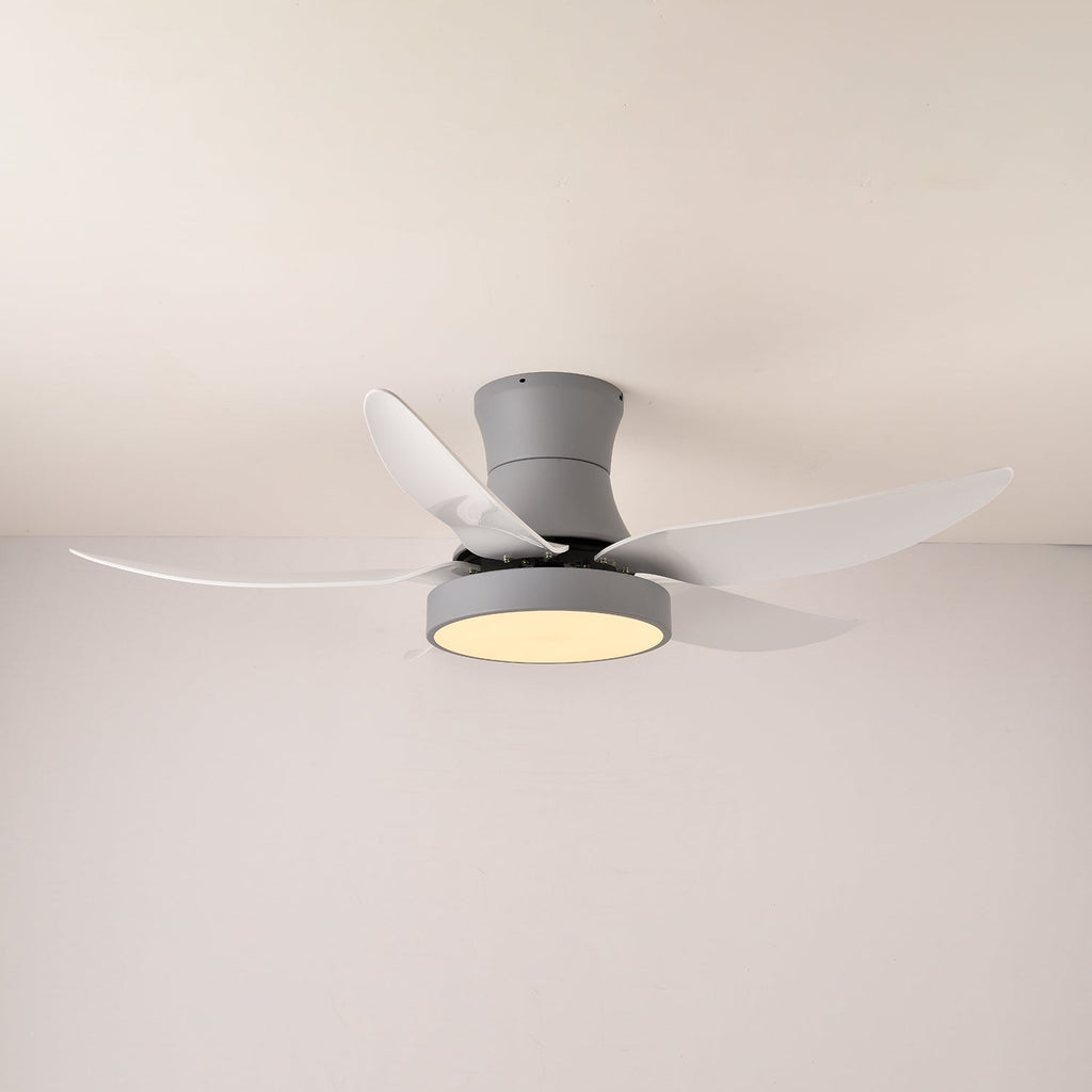 zephyr-noir-ceiling-fan-anzaz--9