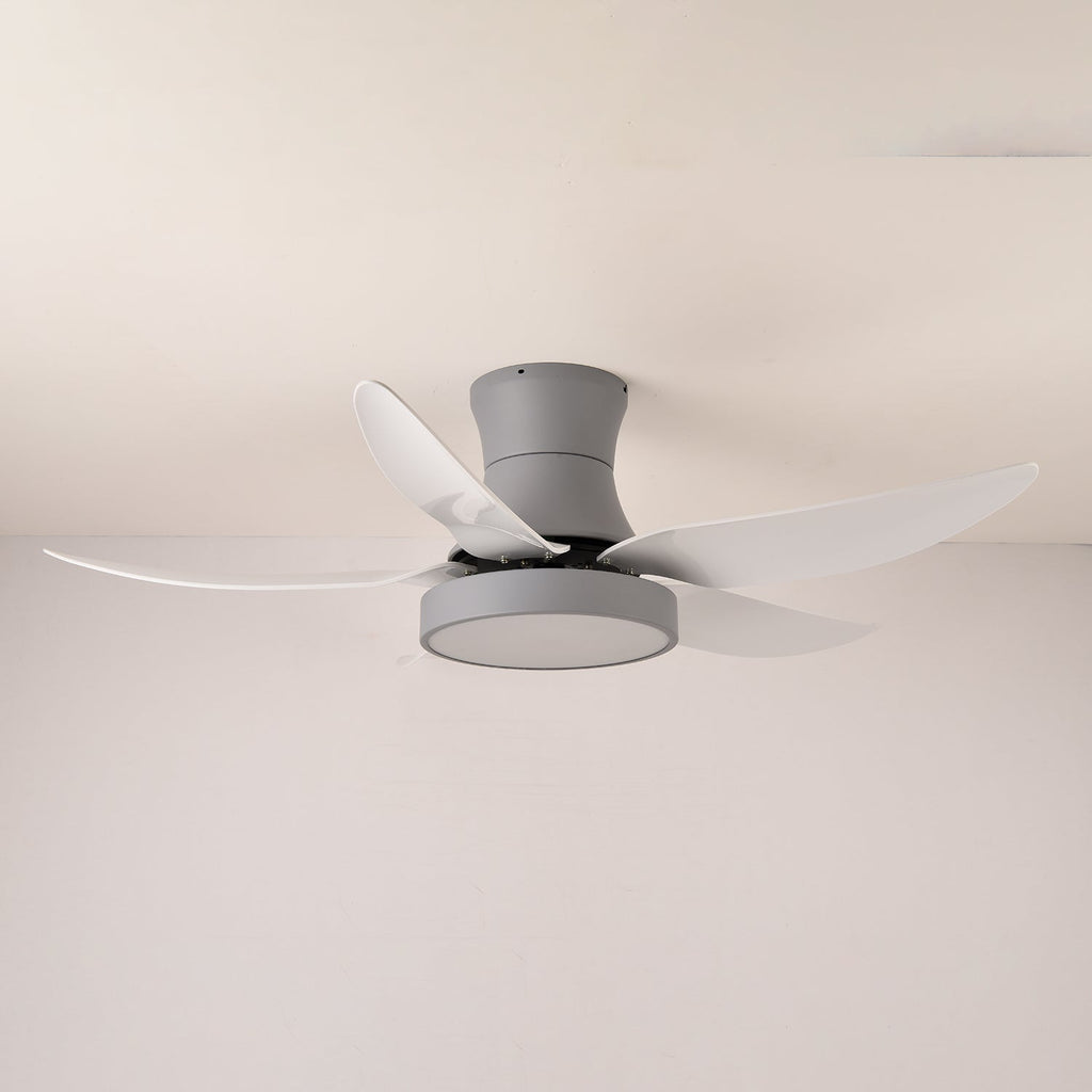 zephyr-noir-ceiling-fan-anzaz--11