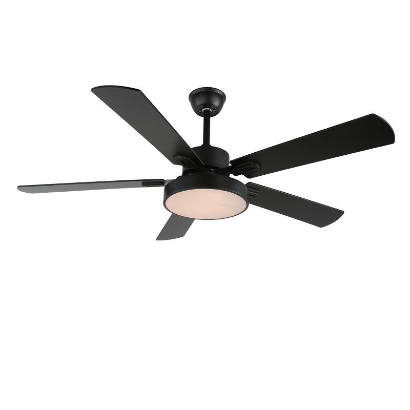 zephyris-ceiling-fan-light-anzaz--8