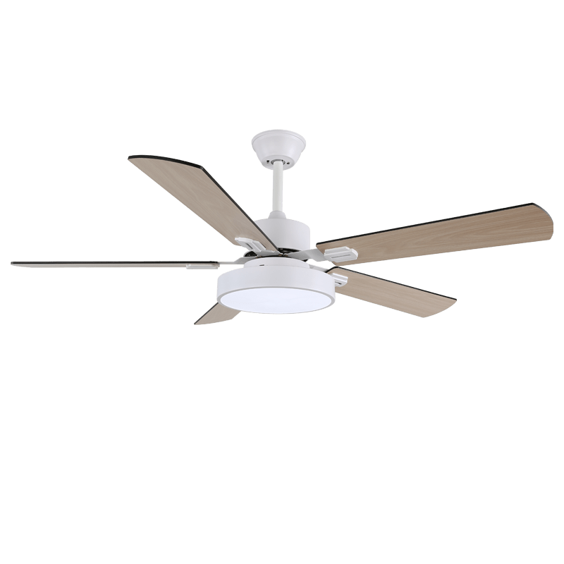 zephyris-ceiling-fan-light-anzaz--5