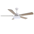 zephyris-ceiling-fan-light-anzaz--9