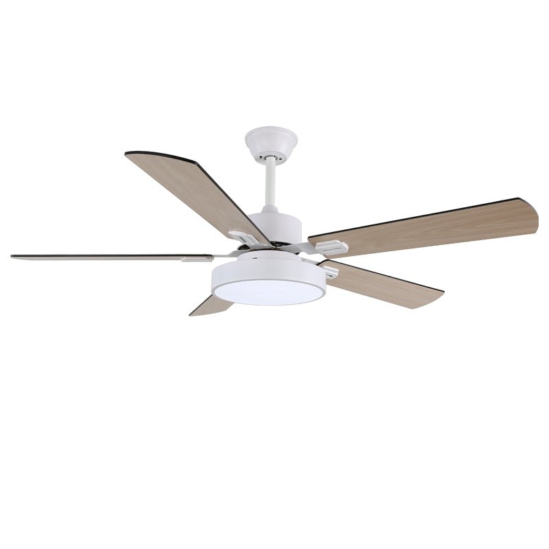 zephyris-ceiling-fan-light-anzaz--9