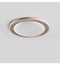 terralux-ceiling-light-anzaz--5