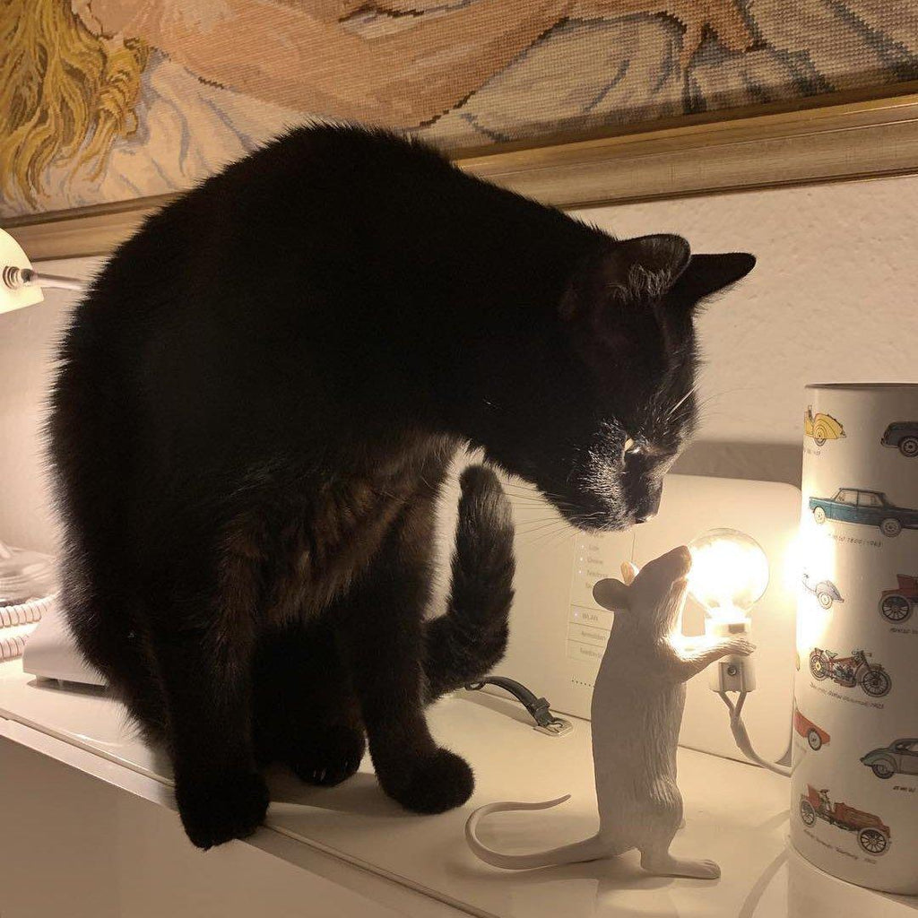 mouse-table-lamp-anzaz--35