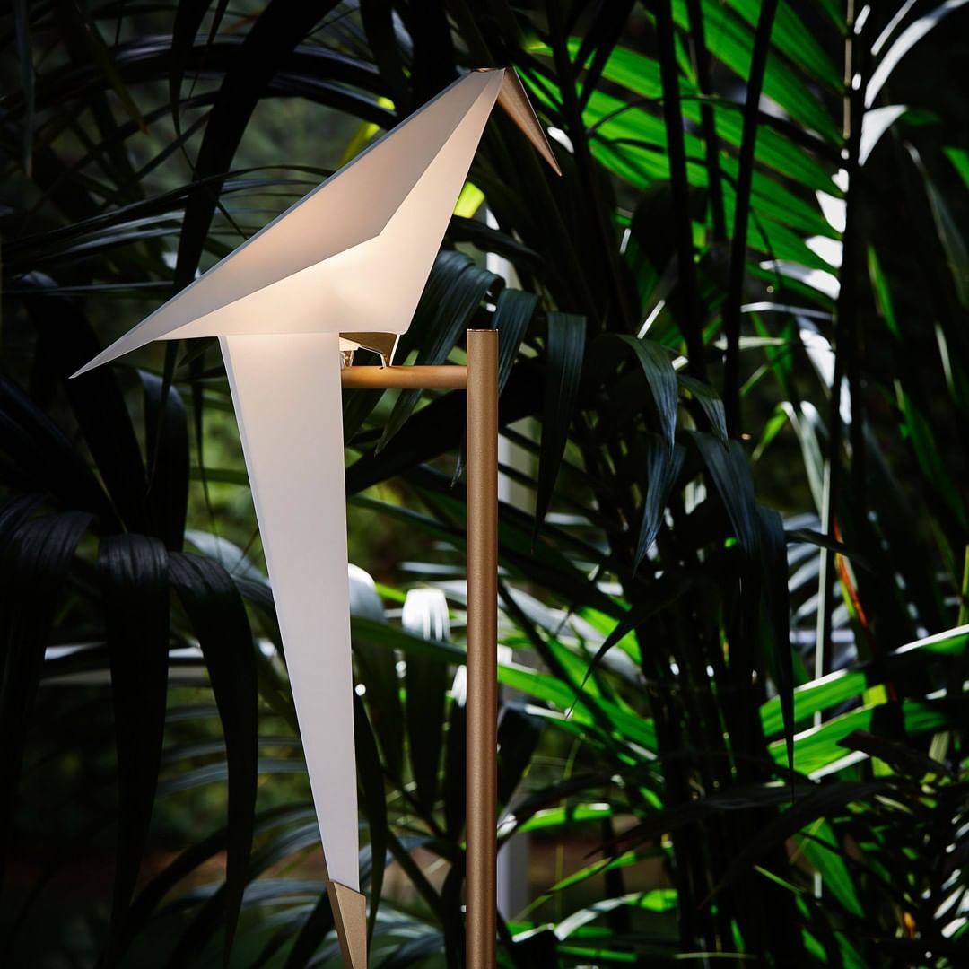 perch-light-table-lamp-anzaz--16