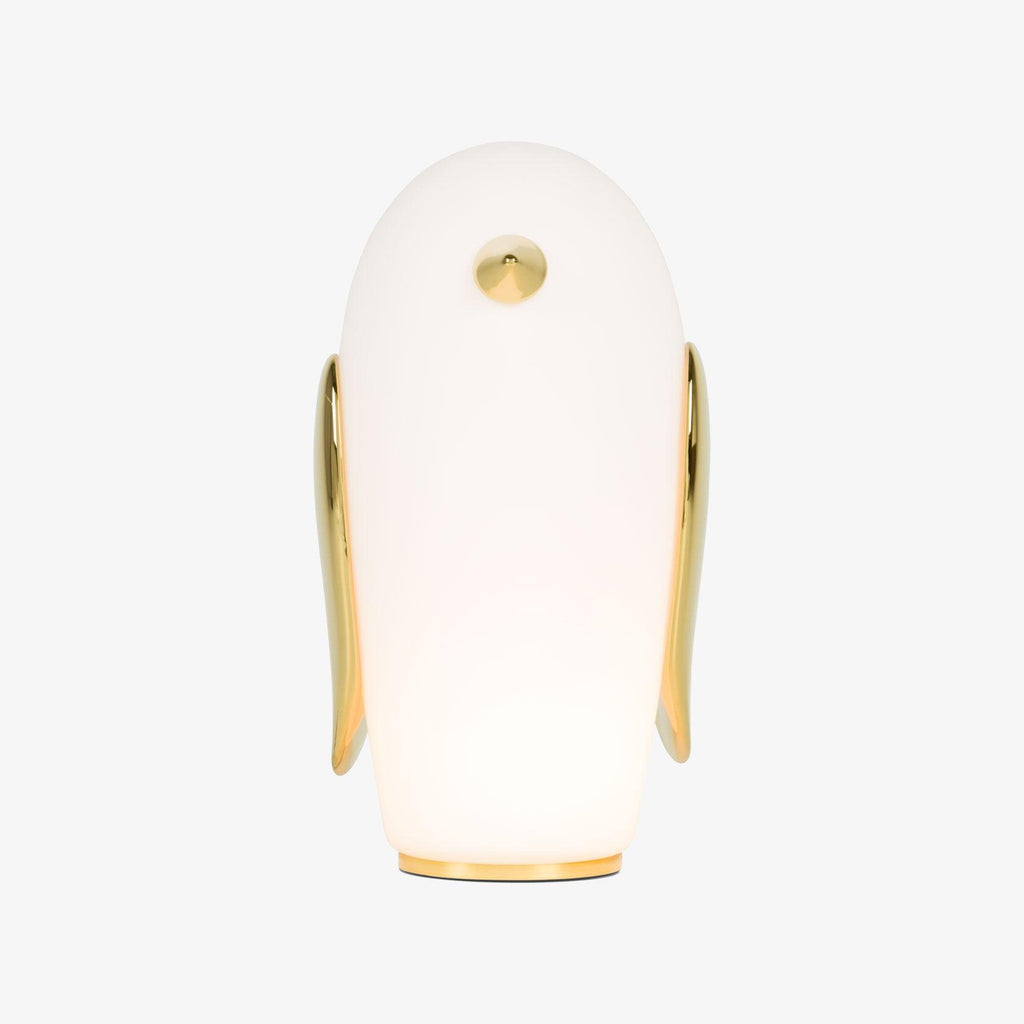 pet-light-anzaz--17