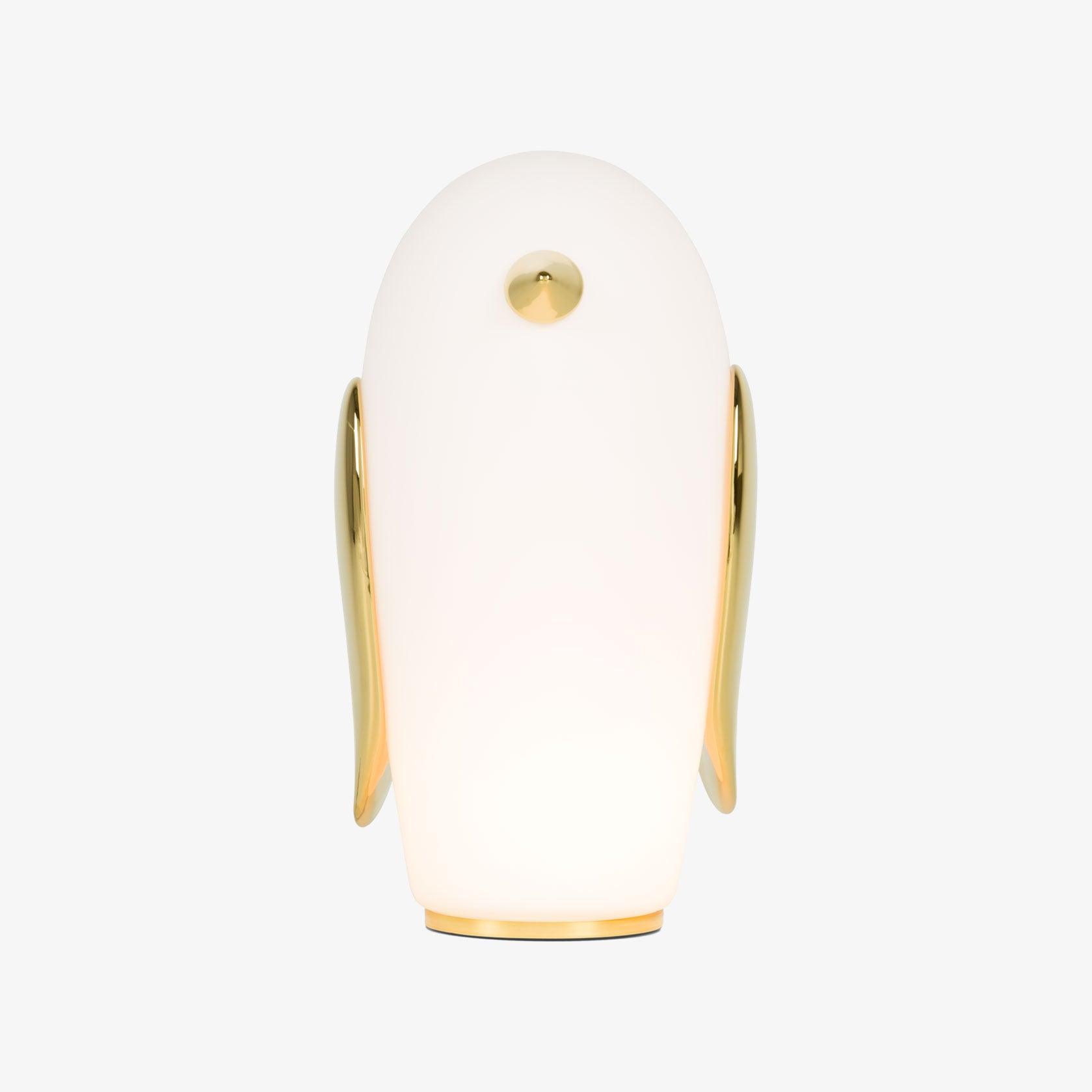 pet-light-anzaz--17
